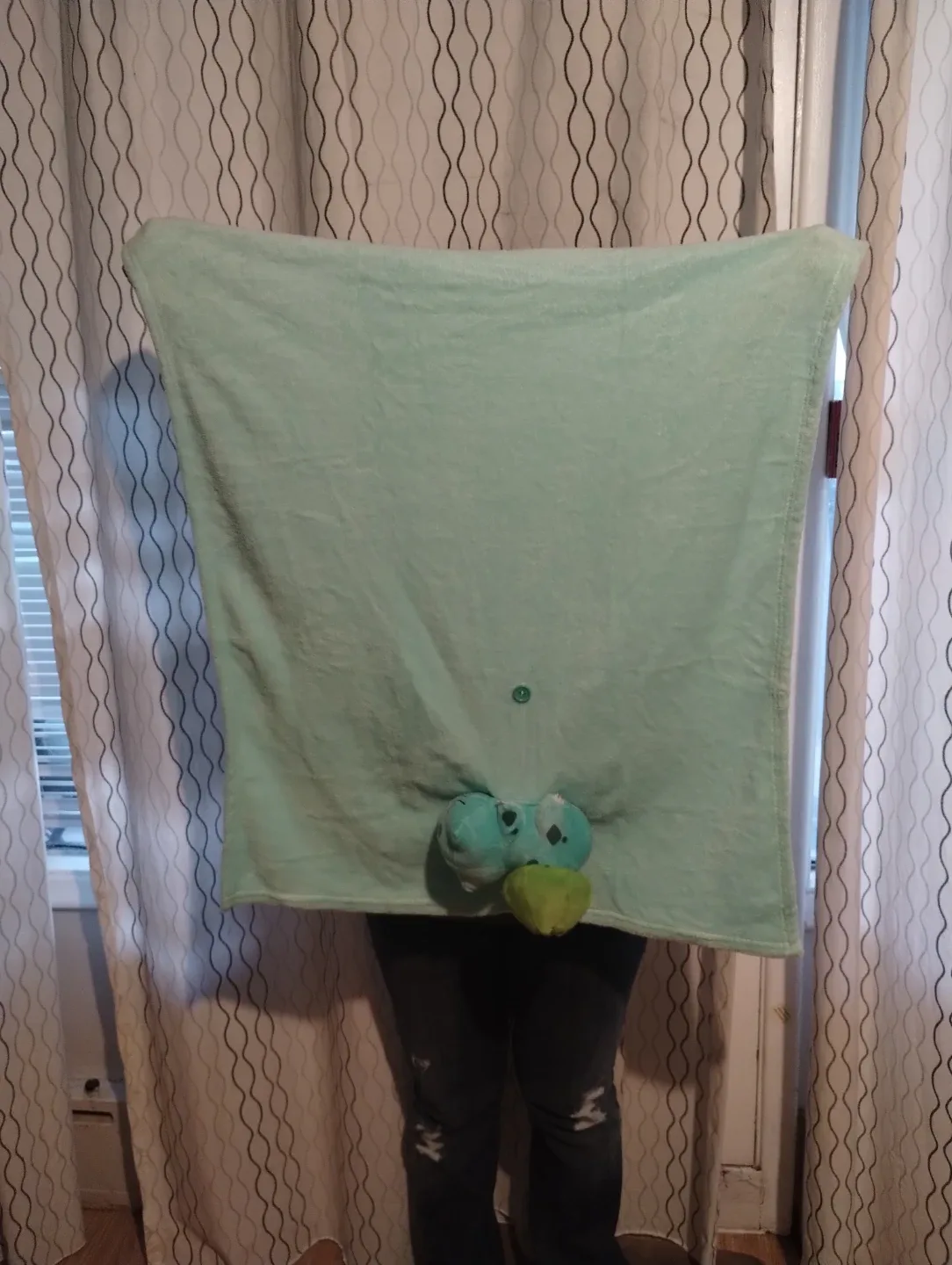 Bulbasaur Plush with Blanket image indicator(8)