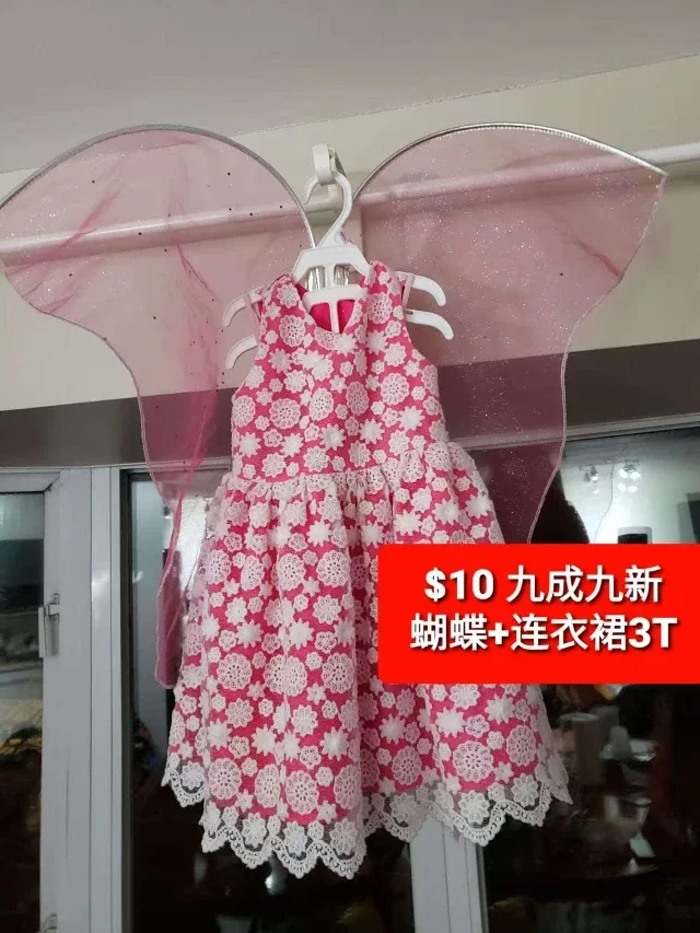 Pink Butterfly Dress with Wings - Size 3T