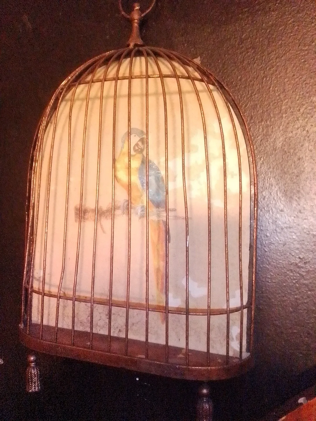 🥕Decorative Bird Cage with Parrot Picture image indicator(2)