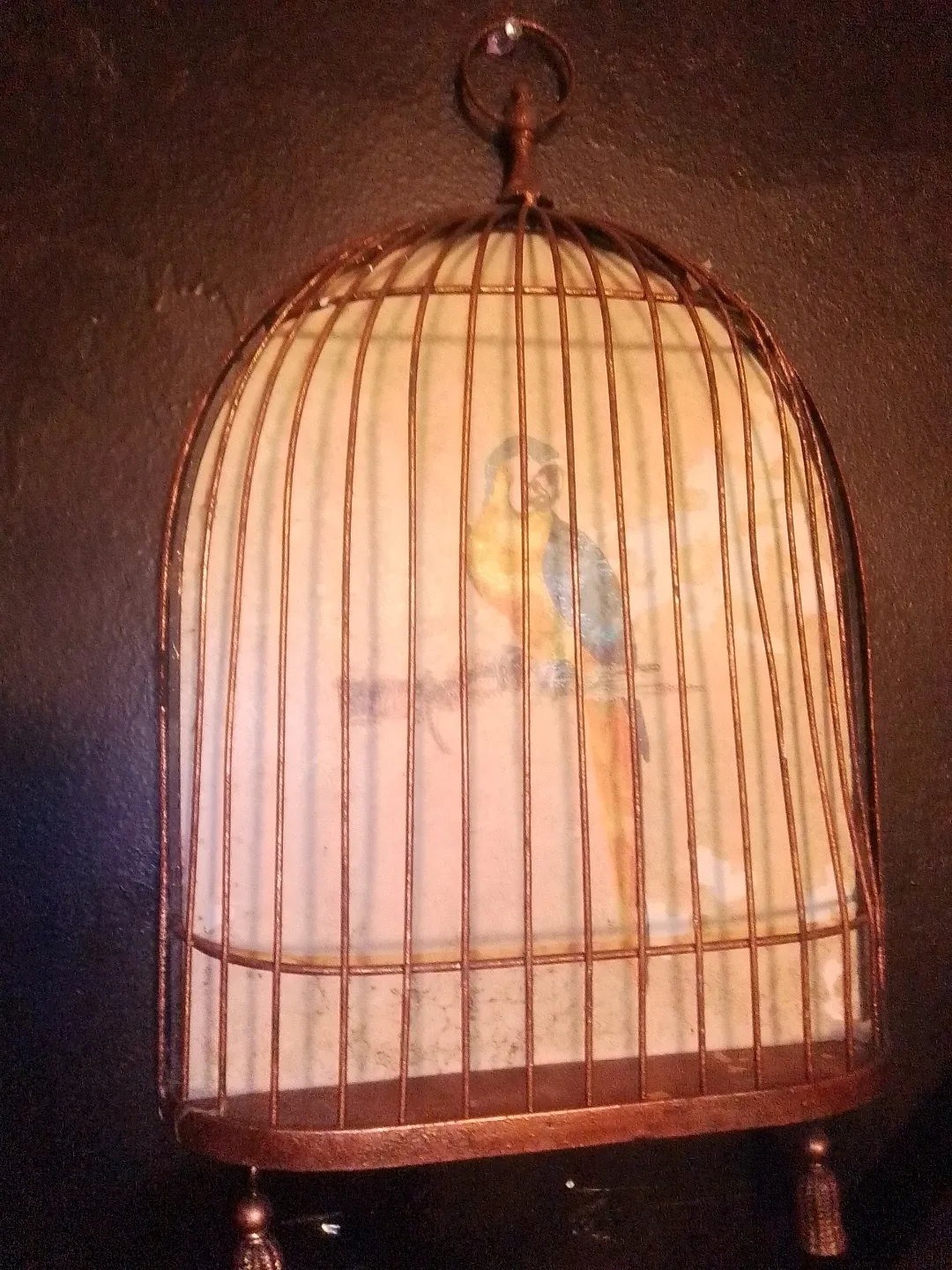 🥕Decorative Bird Cage with Parrot Picture image indicator(3)