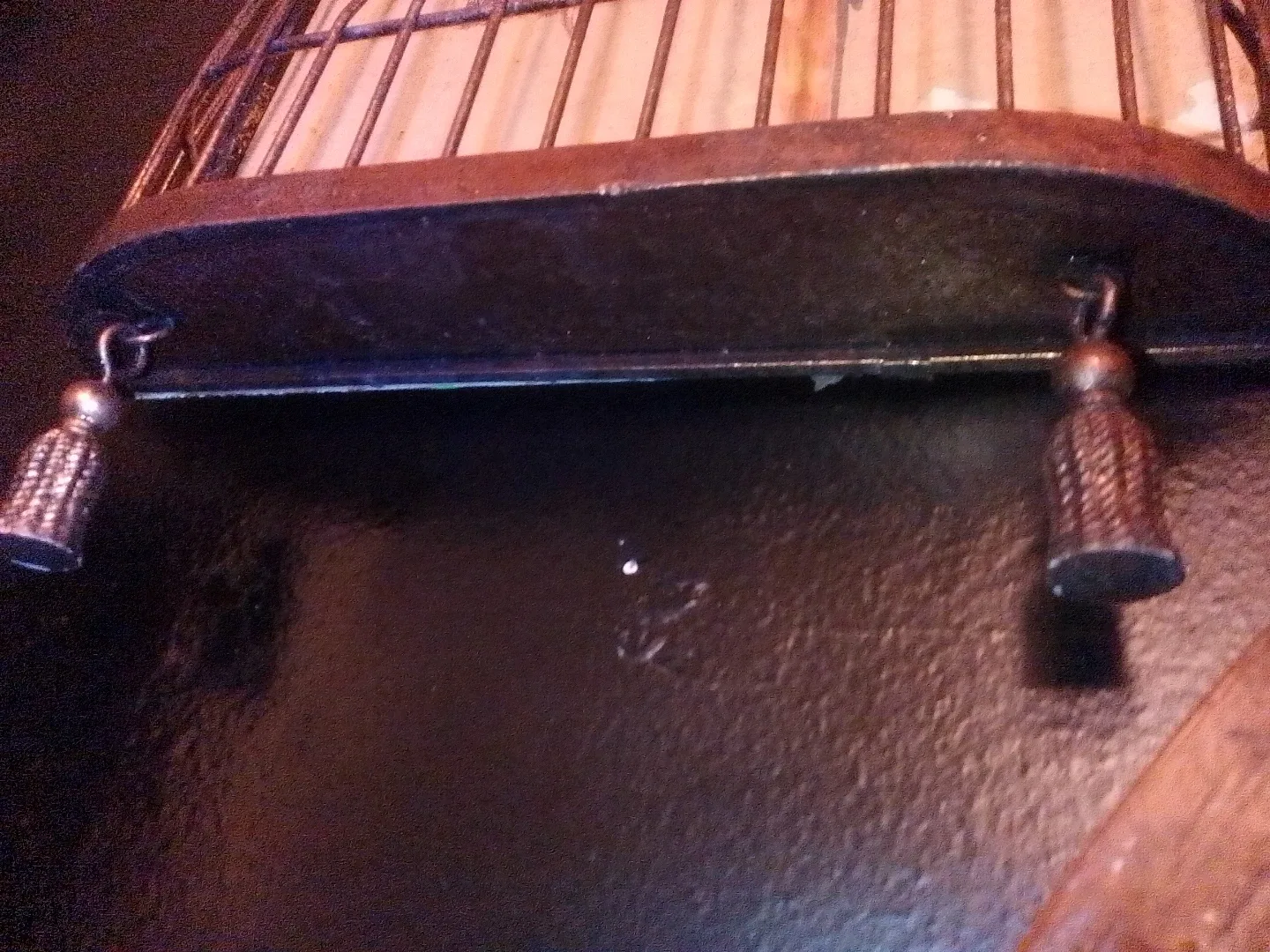 🥕Decorative Bird Cage with Parrot Picture image indicator(4)