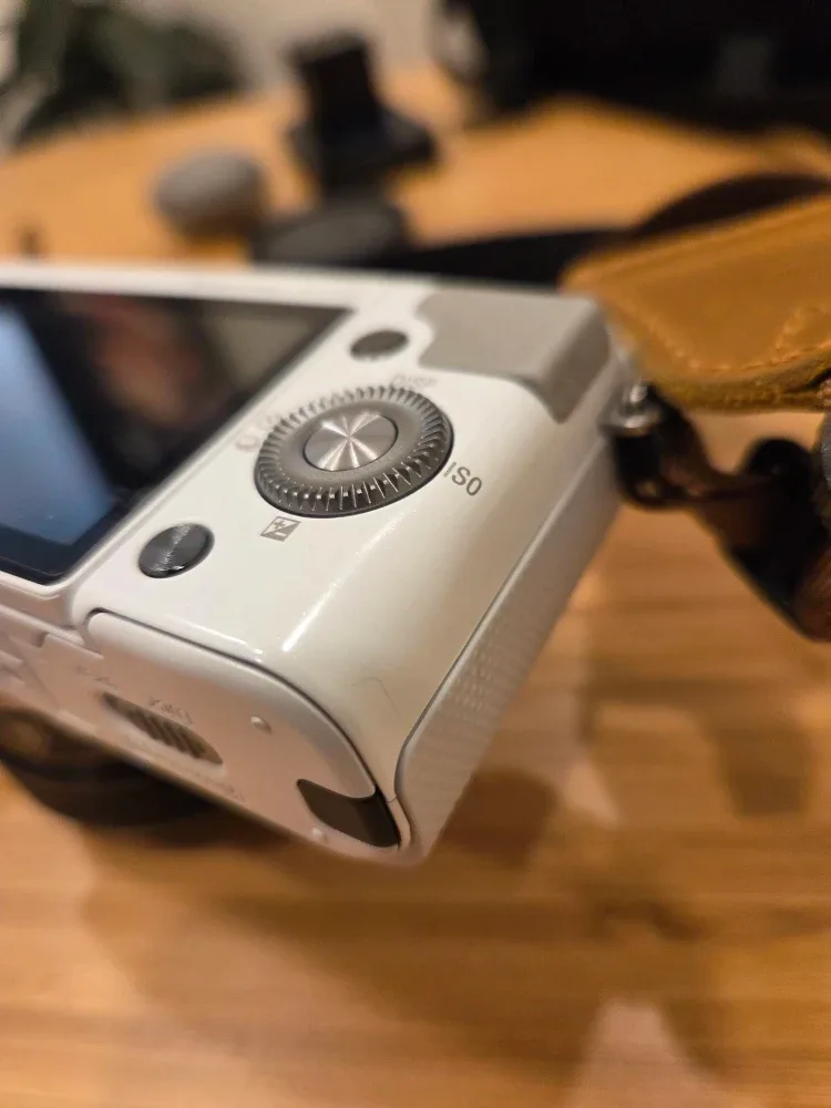 Sony NEX-3N Digital Camera - White image indicator(7)