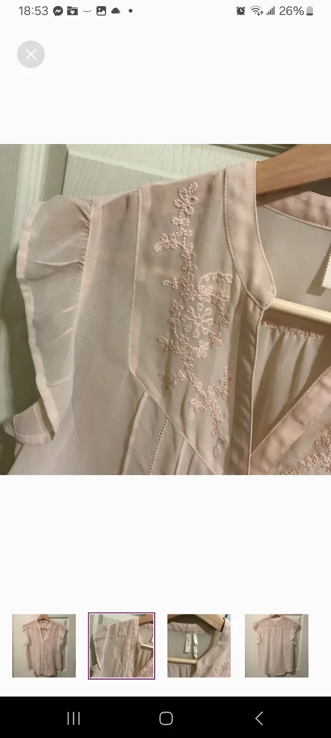 Frenchie sheer Light Pink Blouse - Size S image indicator(2)