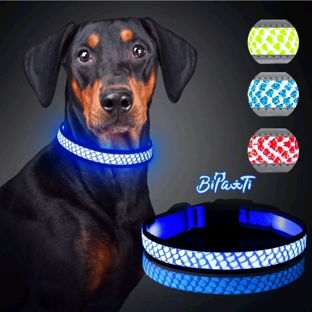 USB Rechargeable LED Dog Collar - pink!