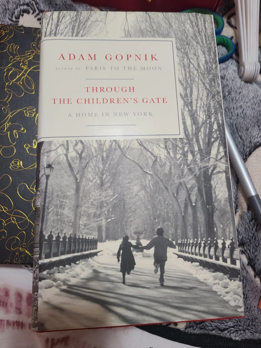 Through Children's Gate by Adam Gopnik