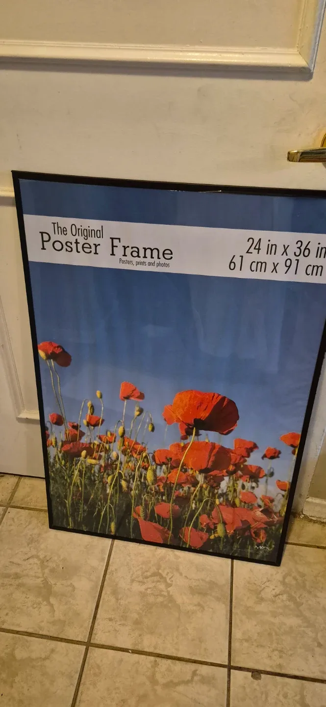Poster Frames