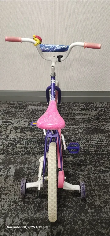 'Razzle' Kids' Bicycle (Moving Out Sale ) image indicator(5)