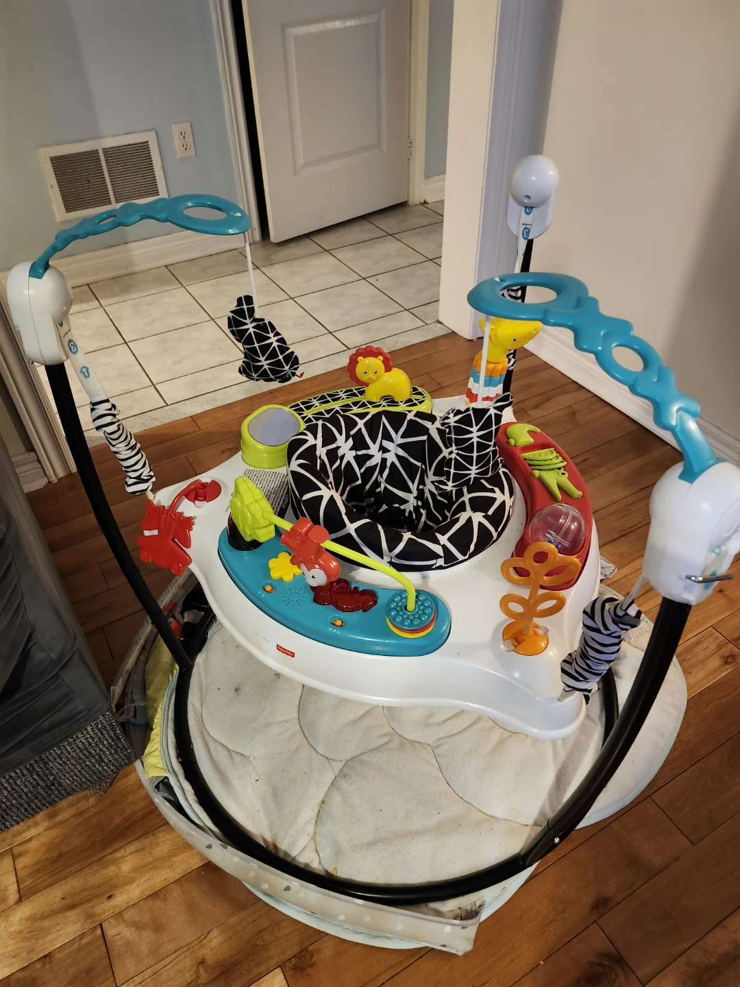 Fisher-Price Jumperoo Baby Activity Center