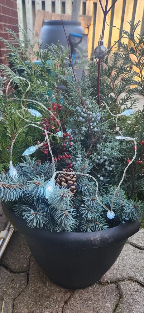 Outdoor Winter Planter image indicator(10)