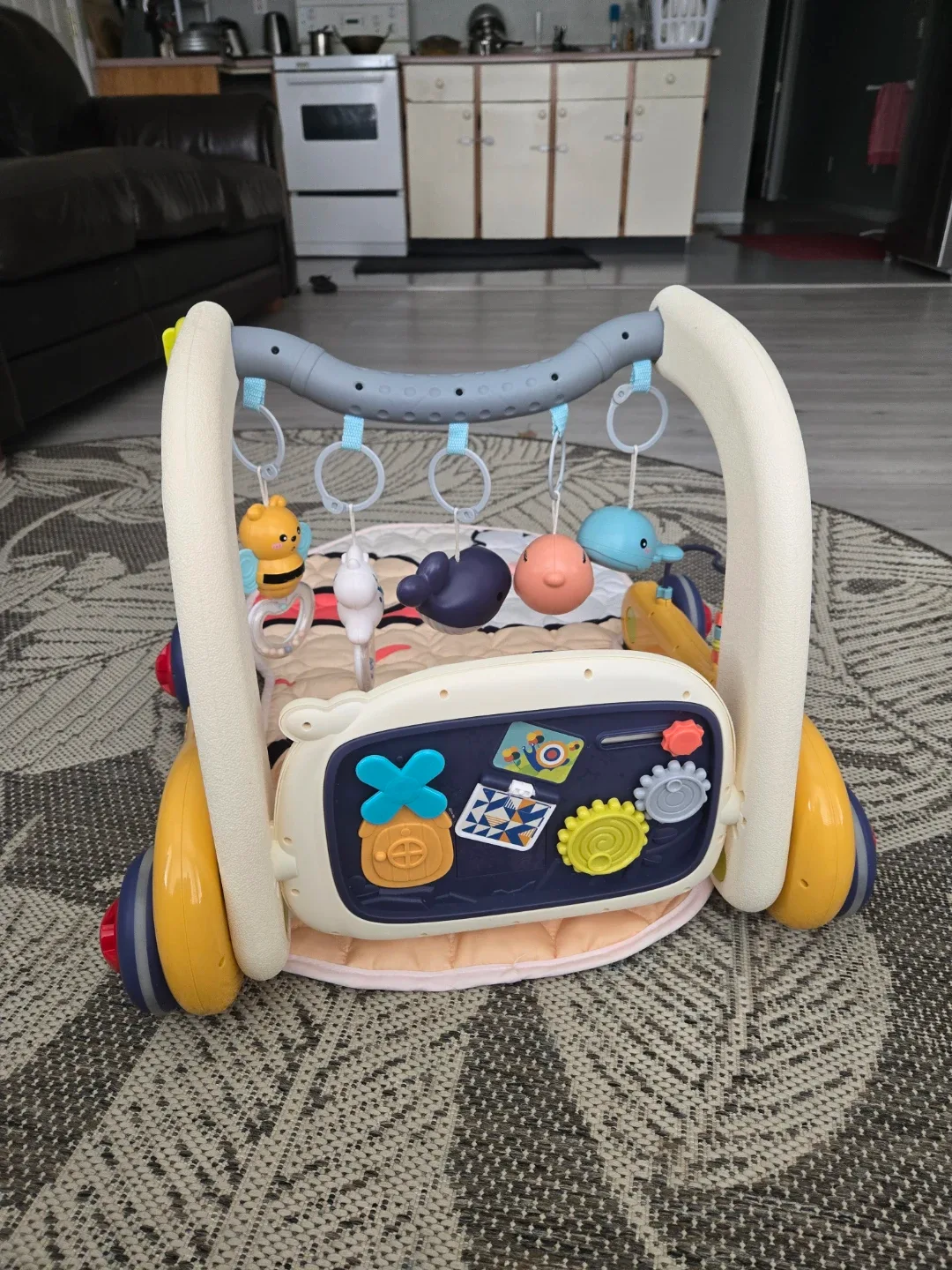 Baby Activity Gym & Play Mat