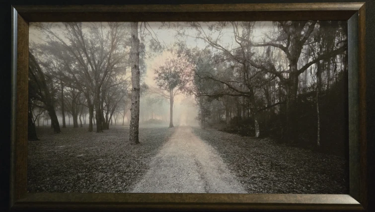 Beautiful Framed Picture (Like New)