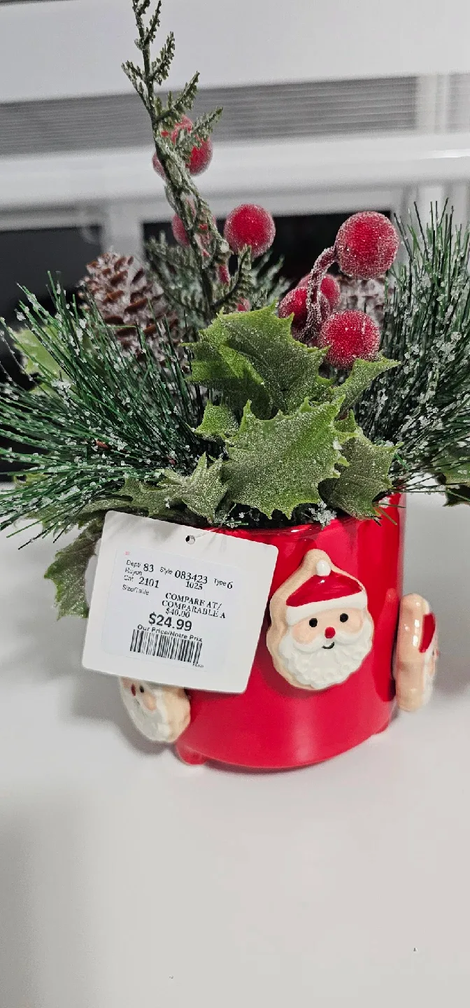 Christmas Floral Arrangement in Santa Pot image indicator(2)