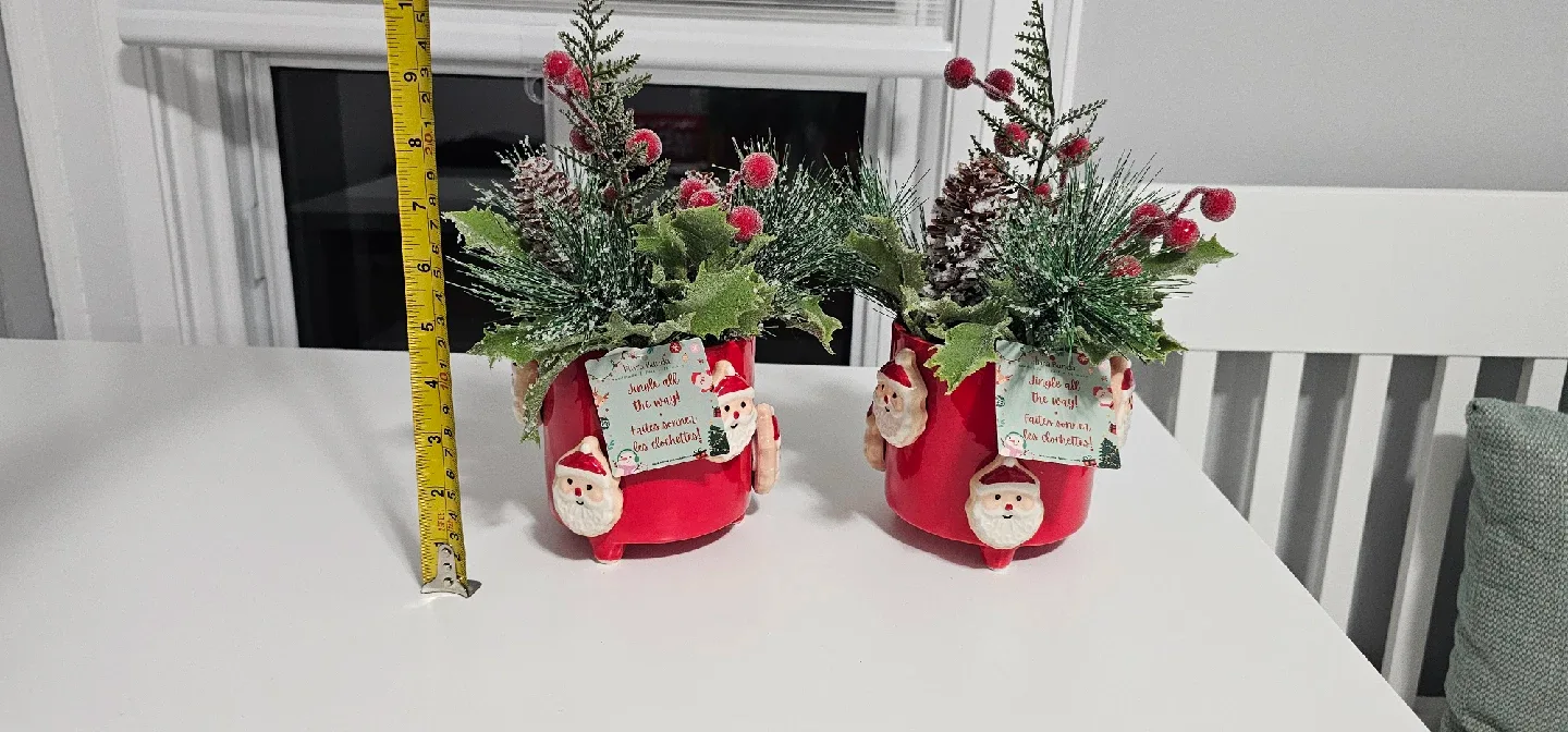 Christmas Floral Arrangement in Santa Pot image indicator(3)