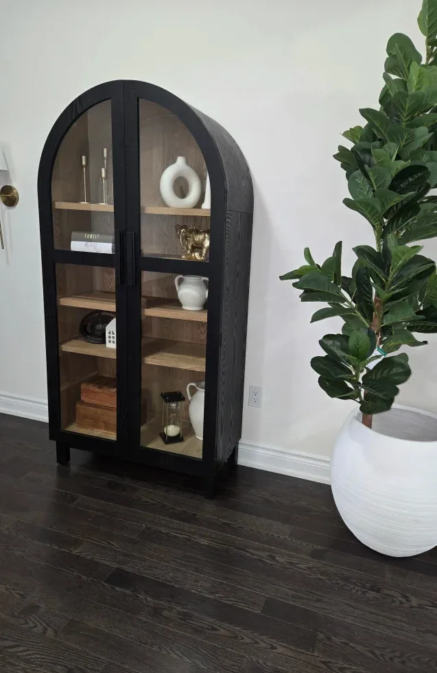 Black Arched Glass Door Cabinet