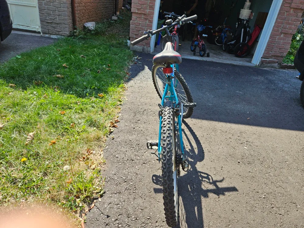 Renegade Mountain Bike - Blue image indicator(2)