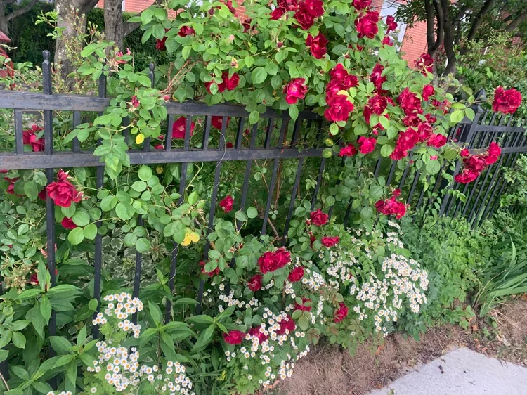 Brownsline area-1bedrm.apt.avail Jan 1/2026 image indicator(4)