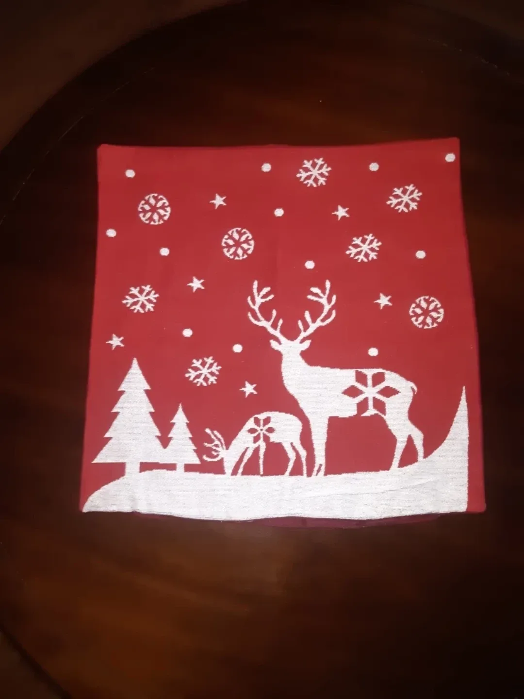 Christmas Holiday pillow cover  x 2
