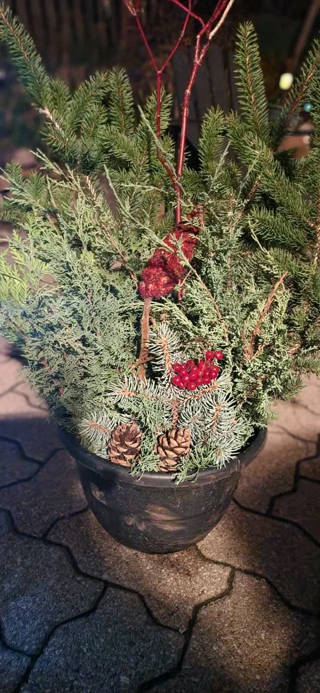 Outdoor Winter Planter image indicator(2)
