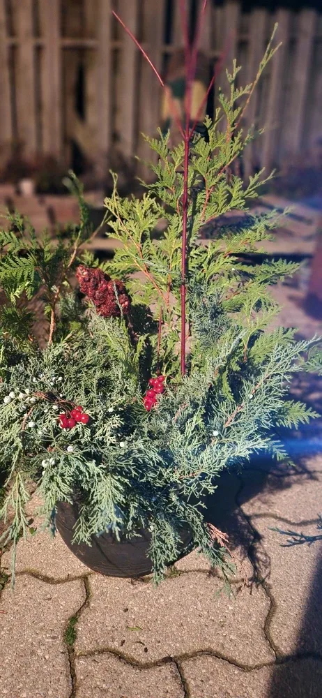 Outdoor Winter Planter image indicator(3)