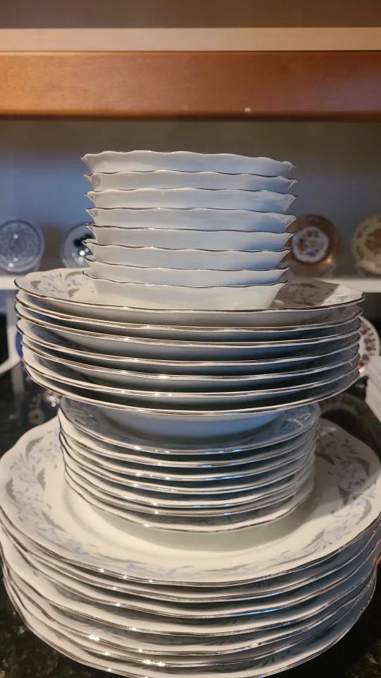 Set of 26 Favolina Made in Poland Dinnerware (Harmony)