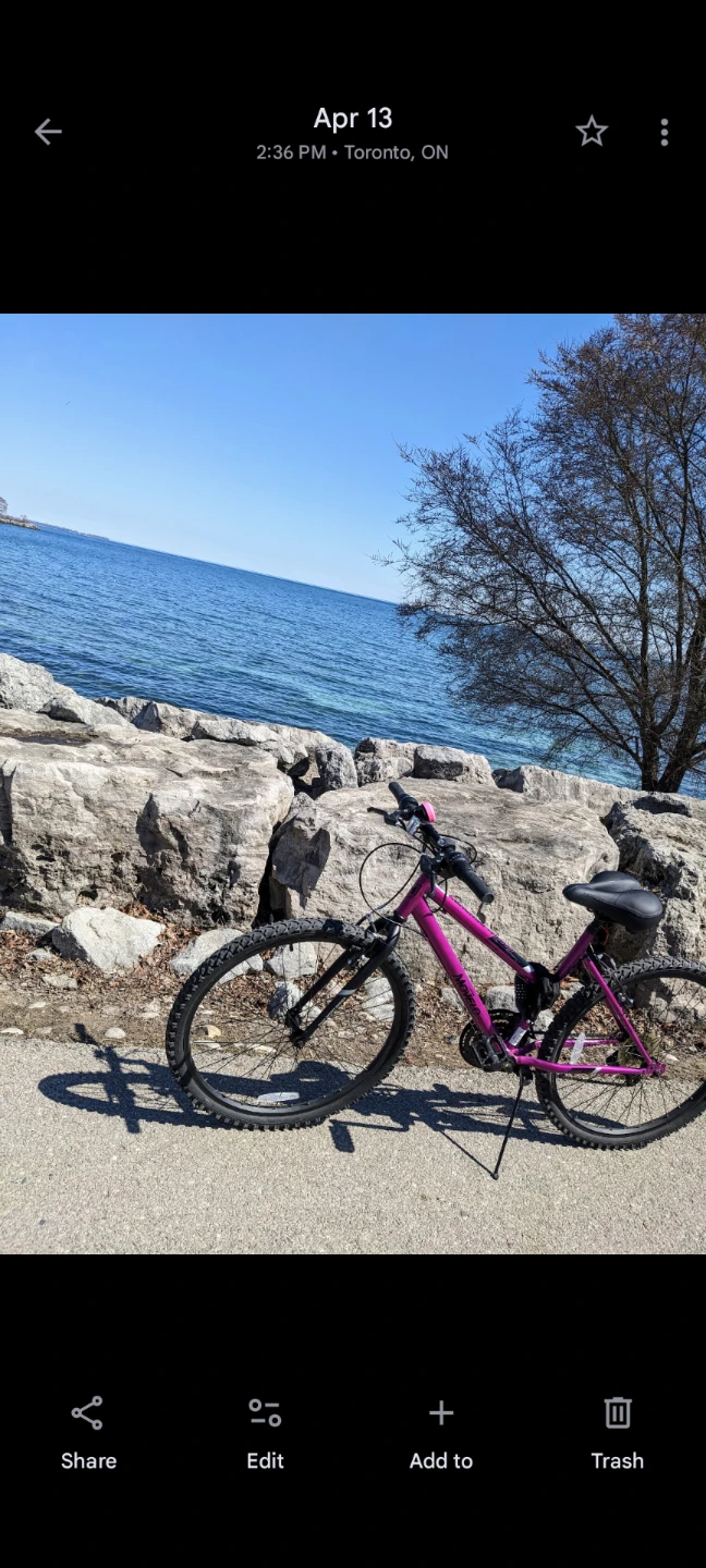 Ladies bike (small)