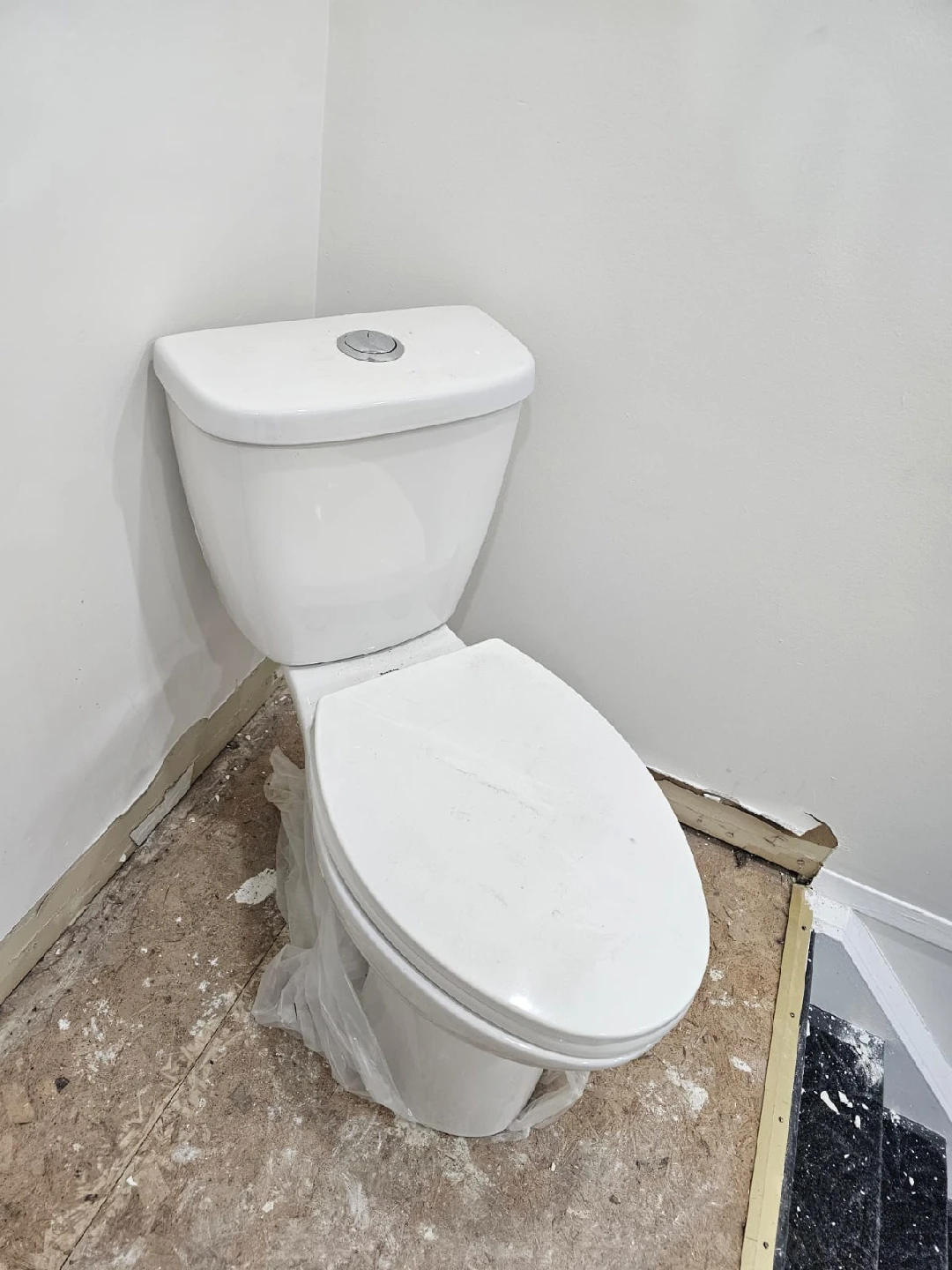 White Toilet - photo 3