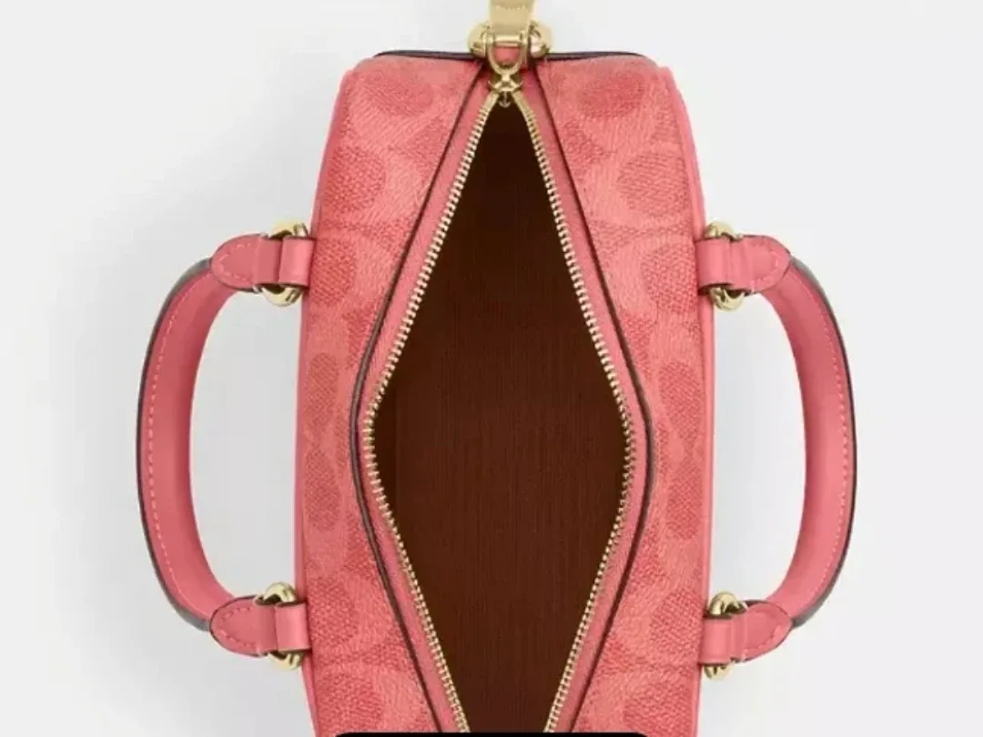 Coach x Peanuts Lucy Printed Satchel.Crossbody Bag image indicator(6)