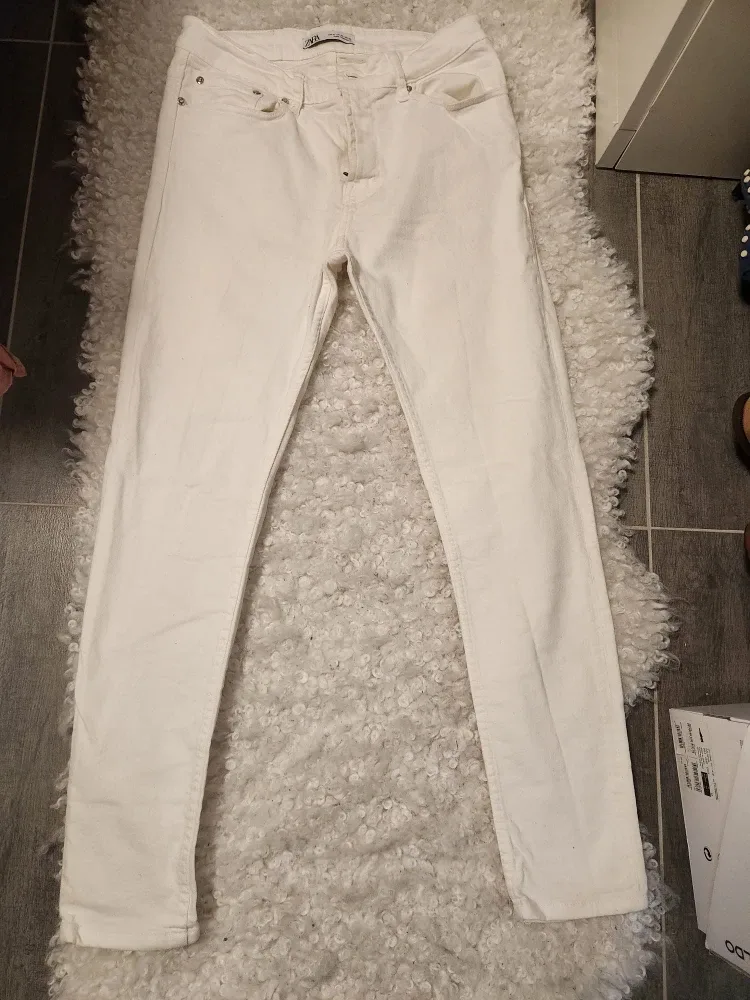 Black Friday Sustainability Sale image indicator(7)