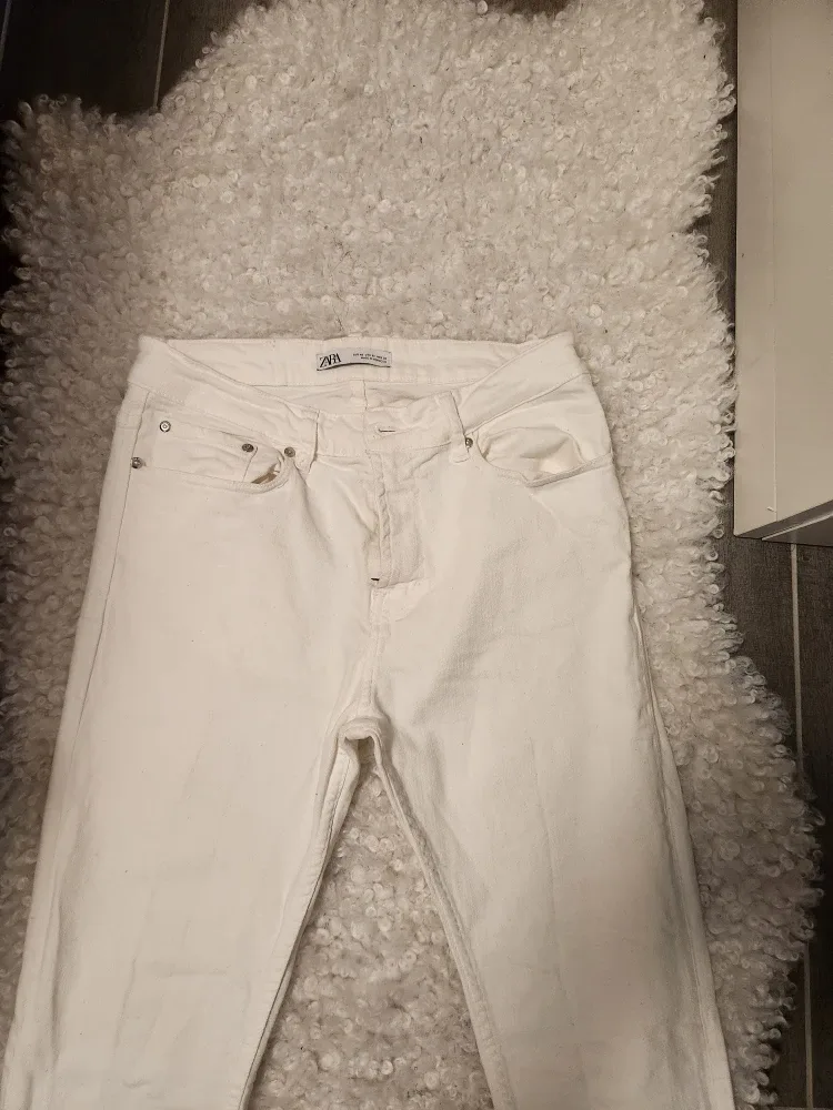 Black Friday Sustainability Sale image indicator(8)