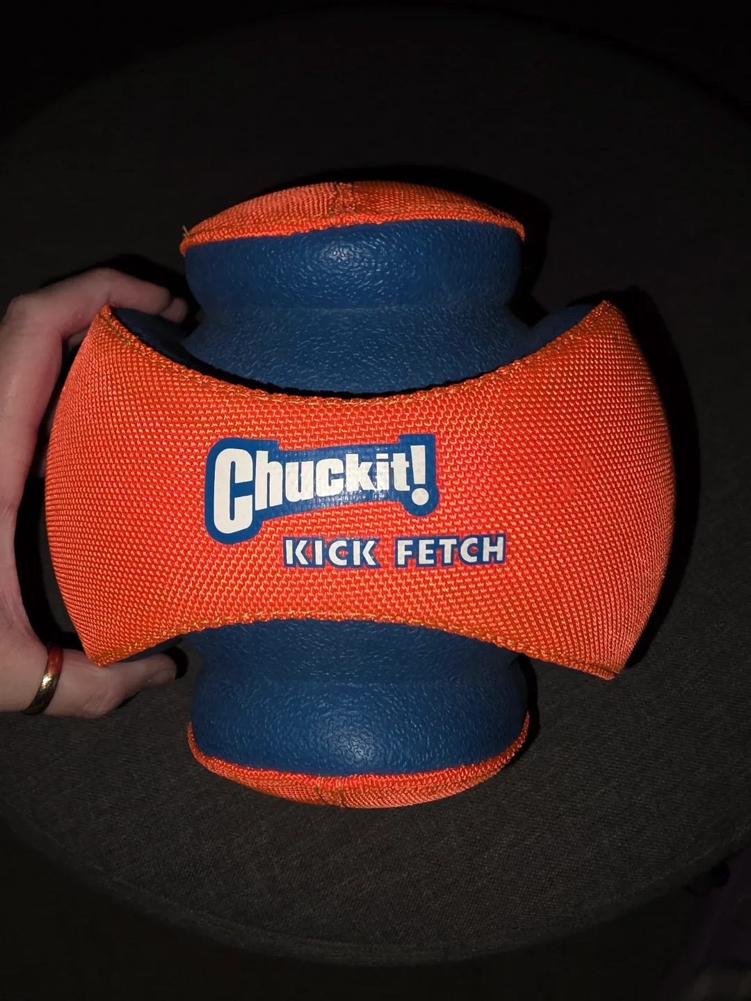 Chuckit ball