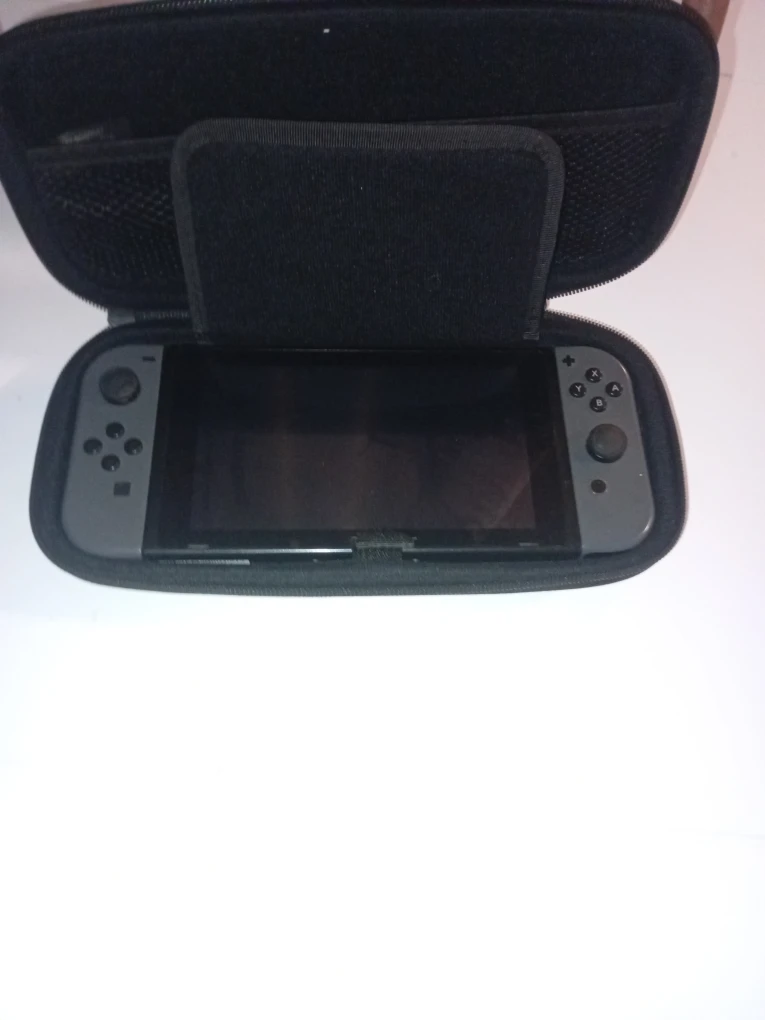 Nintendo Switch Game Case + Games