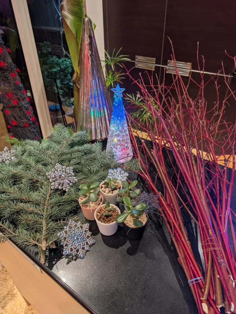 Festive Evergreen and other bows.  Winter Planter image indicator(8)