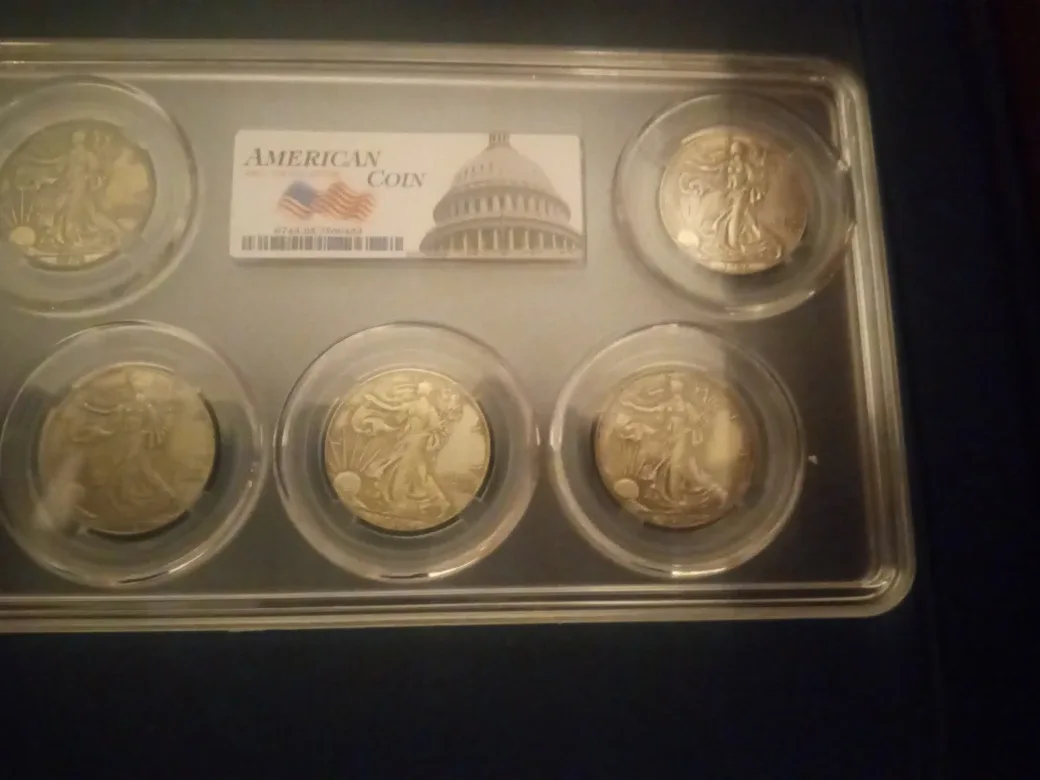 American Coin Collection image indicator(4)