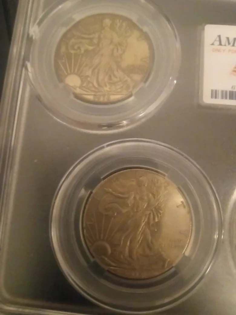 American Coin Collection image indicator(8)