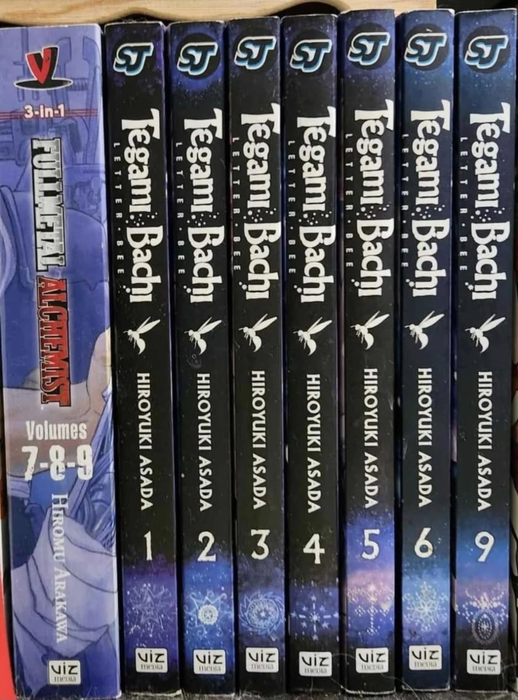 Tagami Bachi Manga