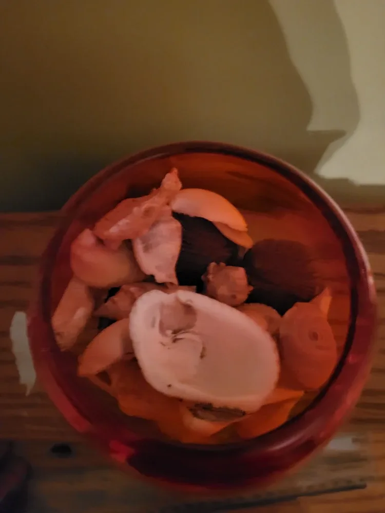 Seashells in Red Glass Vase image indicator(4)