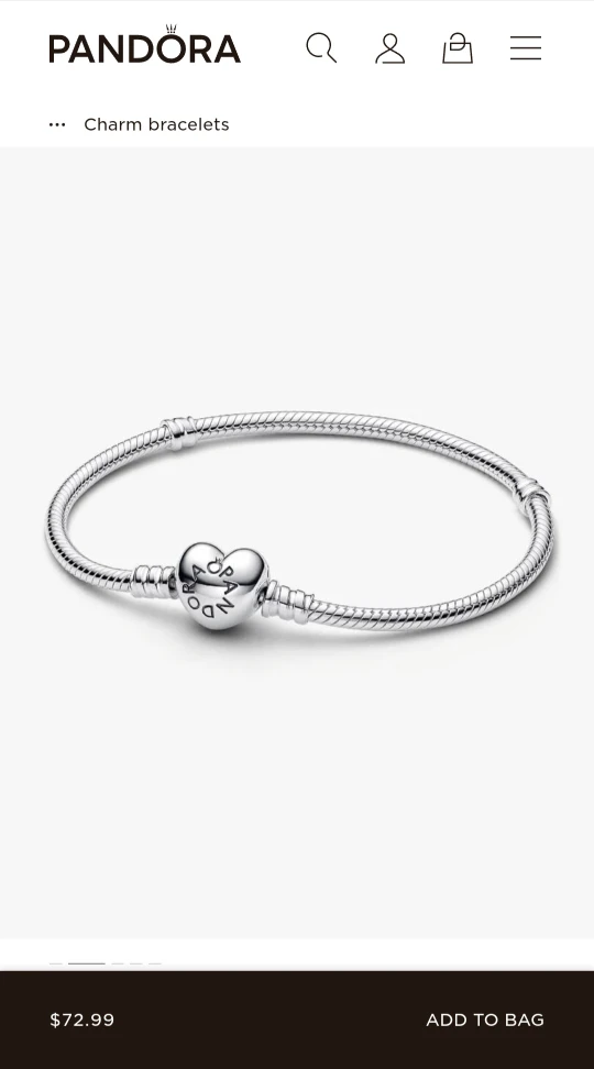 Pandora Charm Bracelet - photo 4