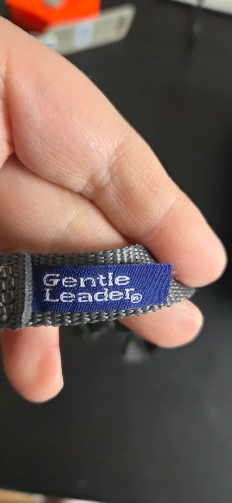 Gentle Leader Headcollar for Dogs - Size M