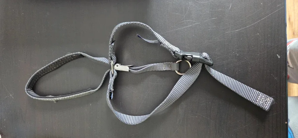 Gentle Leader Headcollar for Dogs - Size M image indicator(2)