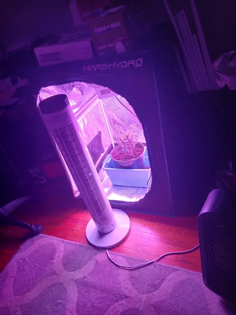 Mars Hydro Grow Tent with Fan