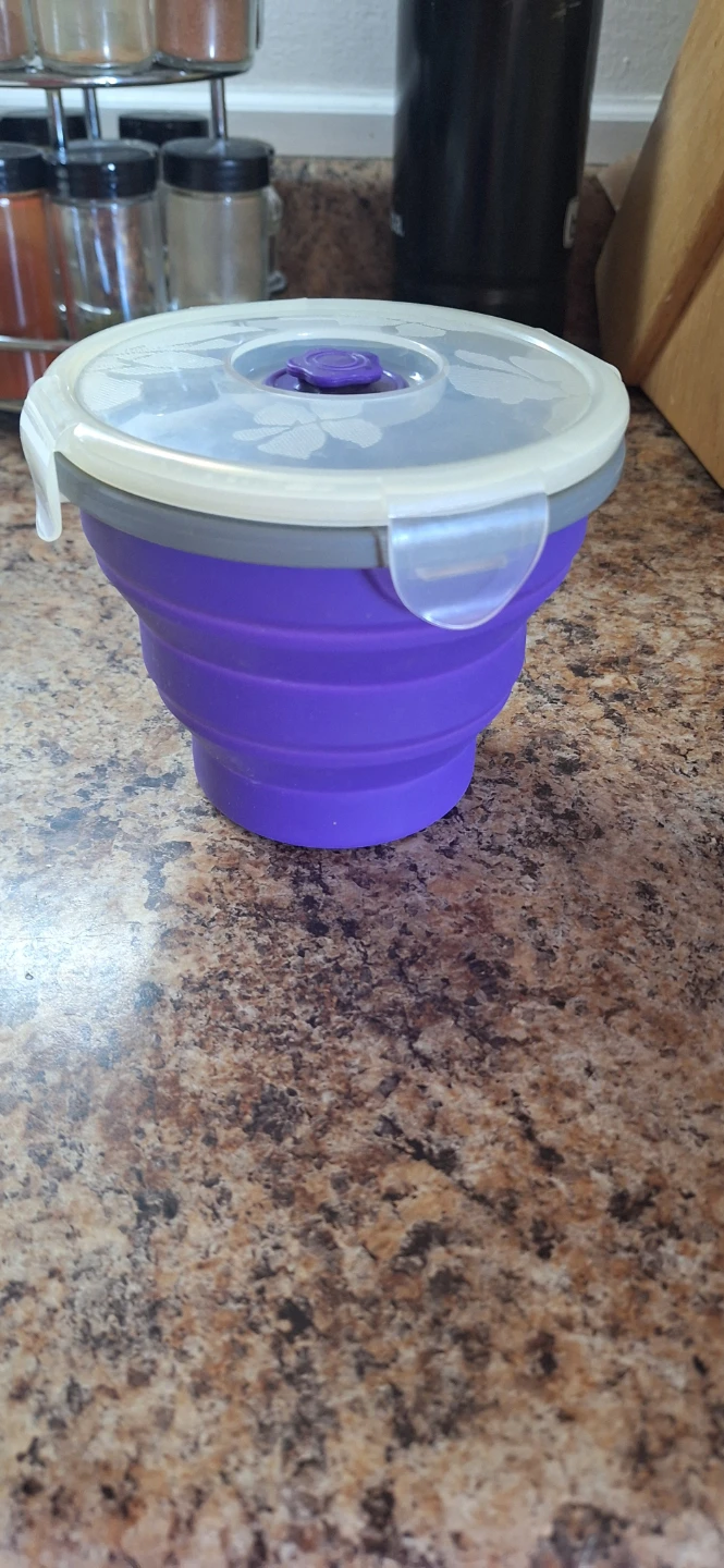 Purple Collapsible Food Container