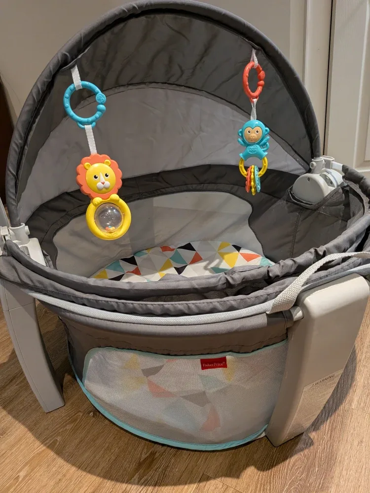 Fisher-Price On-the-Go Baby Dome