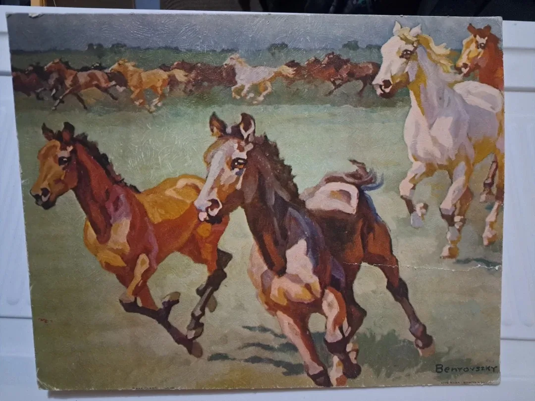 Fine Art Print "Thundering Herd" by Benyovszky, 11x14