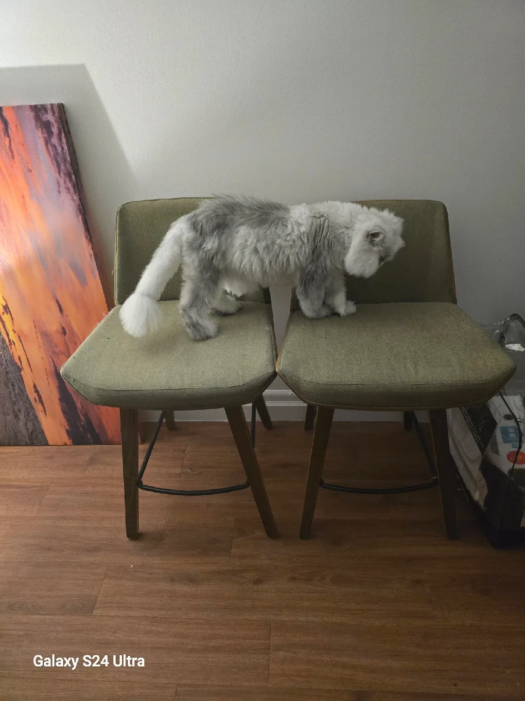 Set of 2 Bar Stools, decided Persian not included image indicator(2)