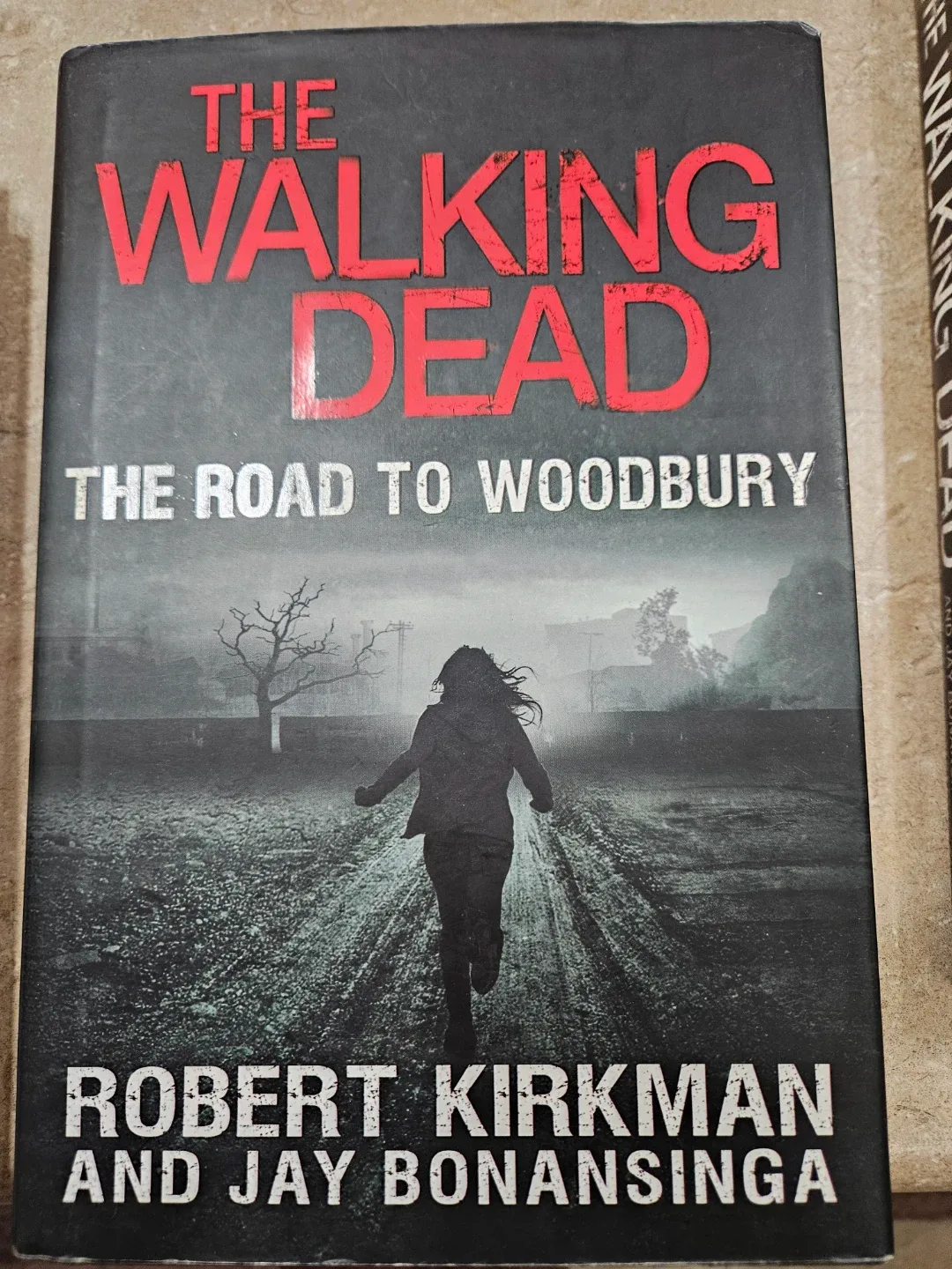 The Walking Dead: The Road to Woodbury by Robert Kirkman image indicator(2)