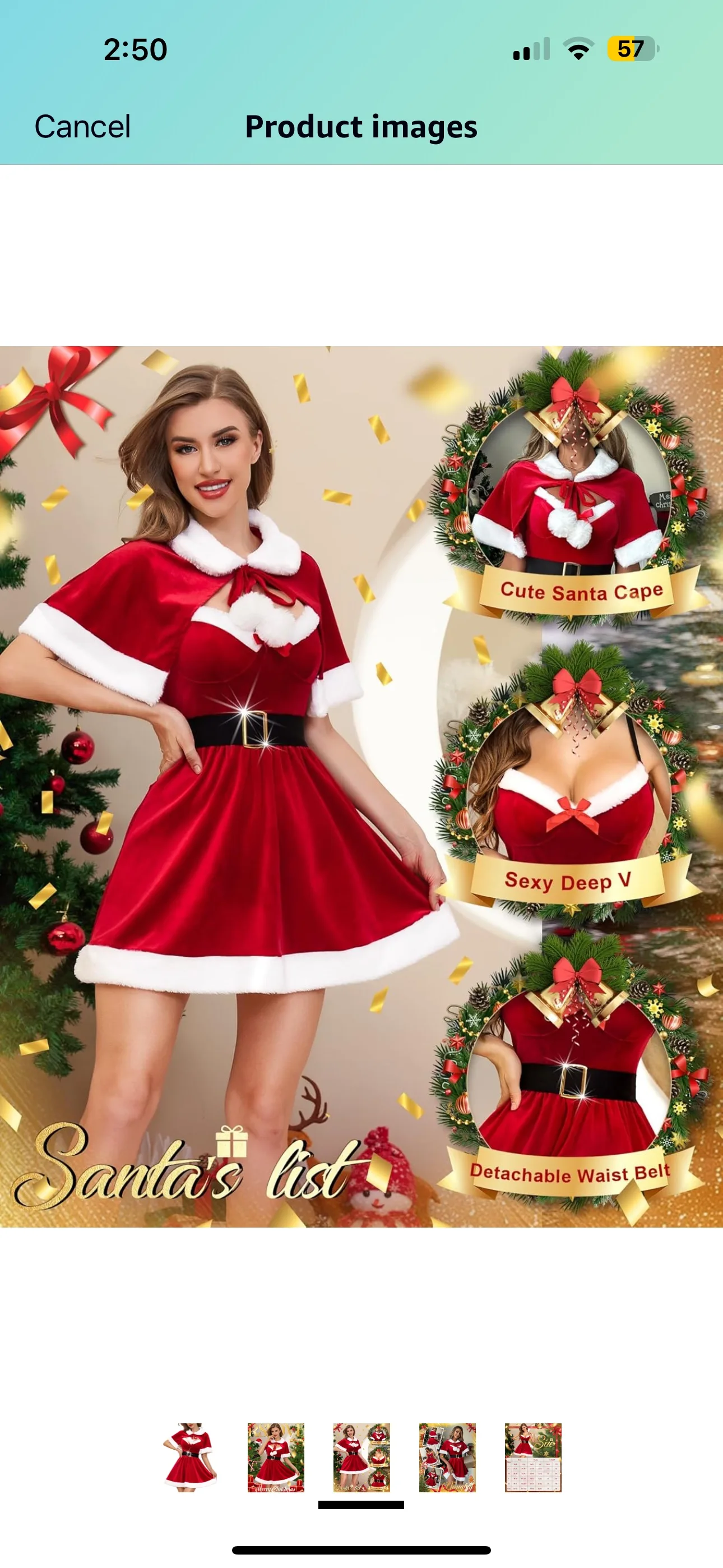 Christmas women dress image indicator(2)