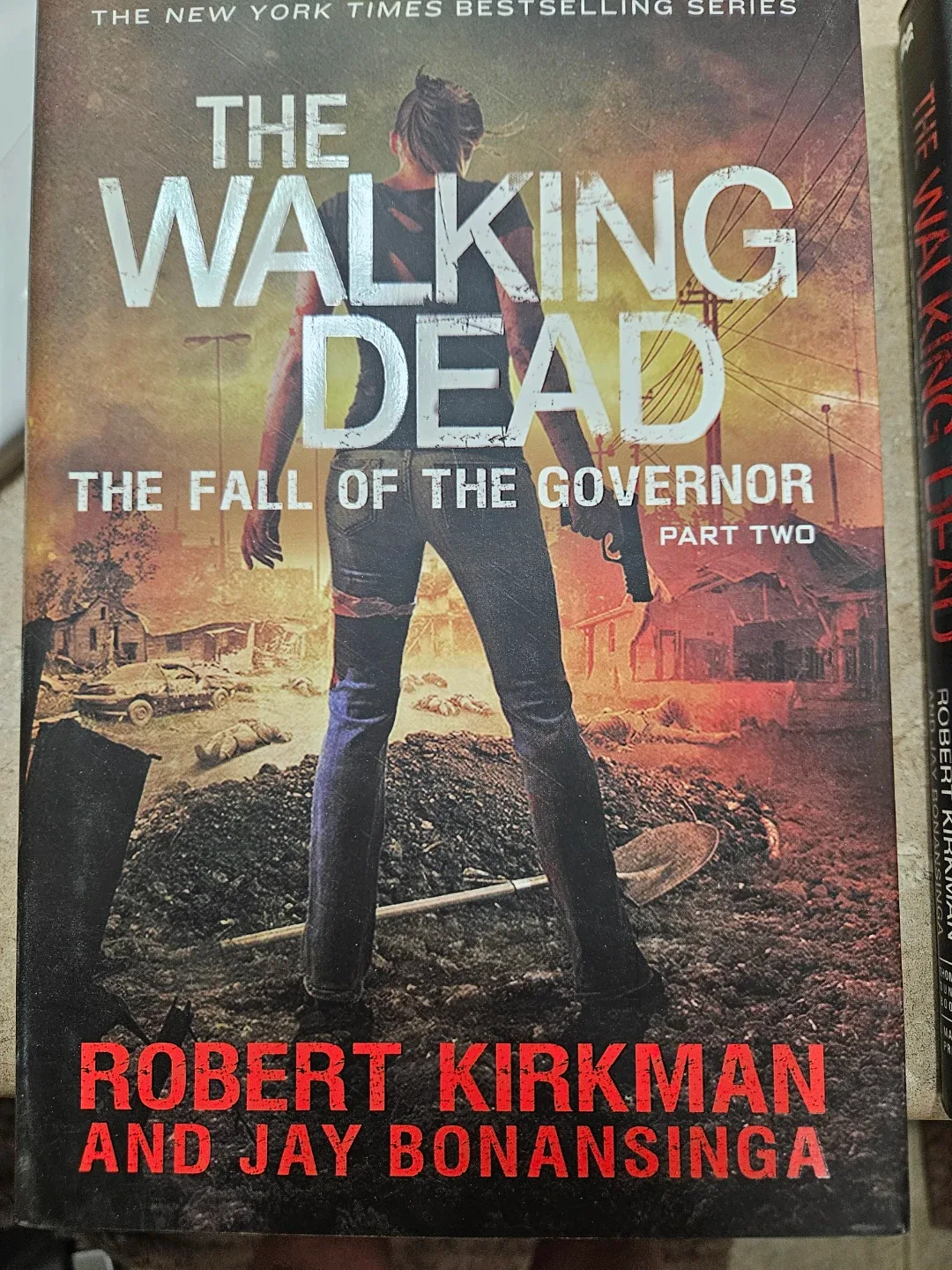 The Walking Dead The Fall of the government part 2 image indicator(2)