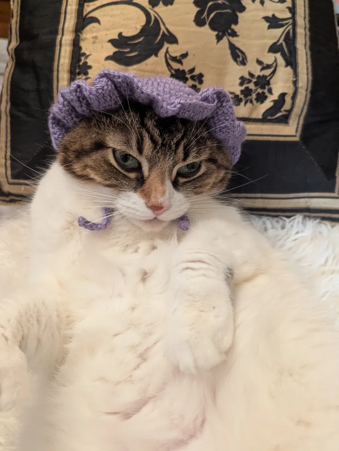 🥕 Handmade Knitted Cat Bonnet - Purple image indicator(4)