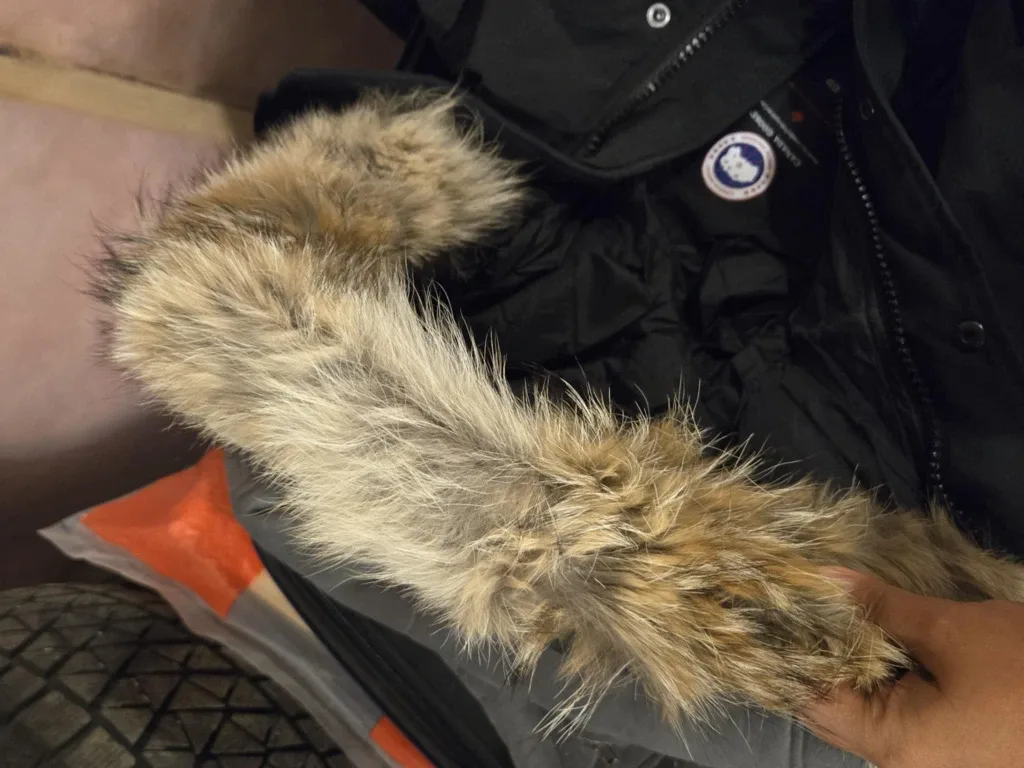 Canada Goose Black Parka - XS