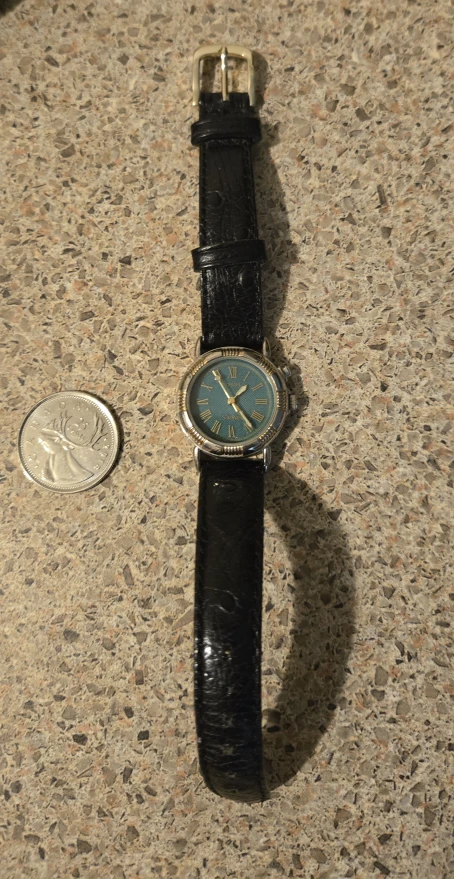 Fossil Star Master Classic Watch